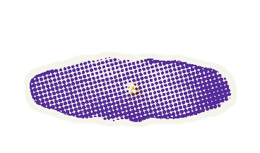Purple floor cushion