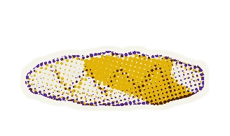 Yellow floor cushion
